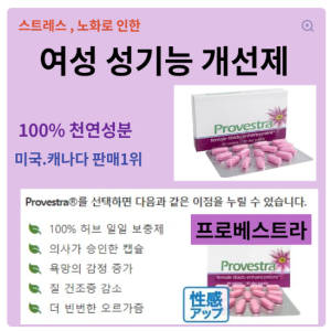 프로베스트라