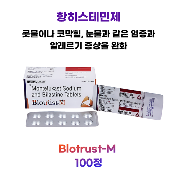 항히스타민제 Blotrust-M   100정