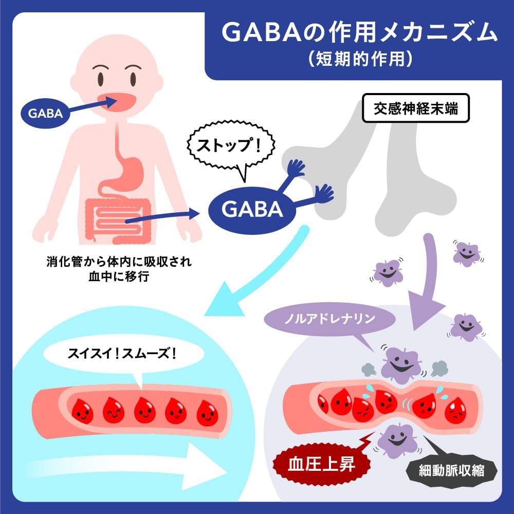 시드콤스 혈압 수면 스트레스 가바(GABA) 30알
