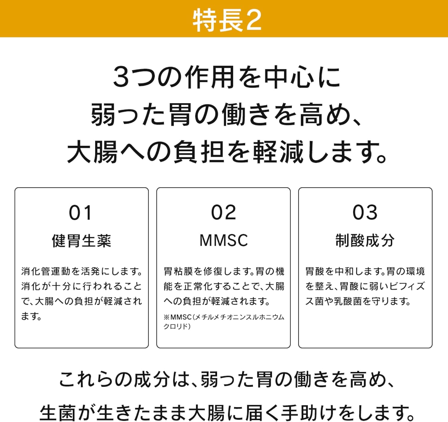 더 가드 코와 정장정 알파 3+ 550정
