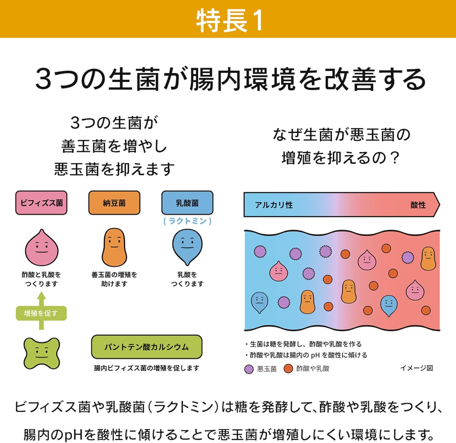 더 가드 코와 정장정 알파 3+ 550정