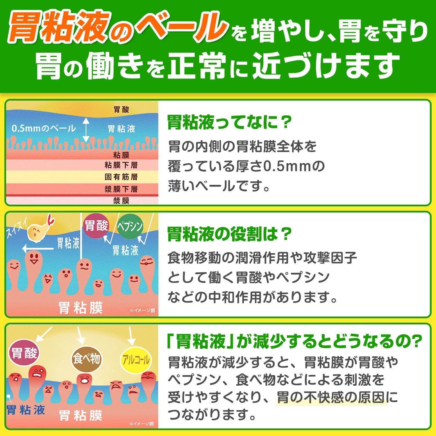 신 셀베어 정위 프리미엄정 72정