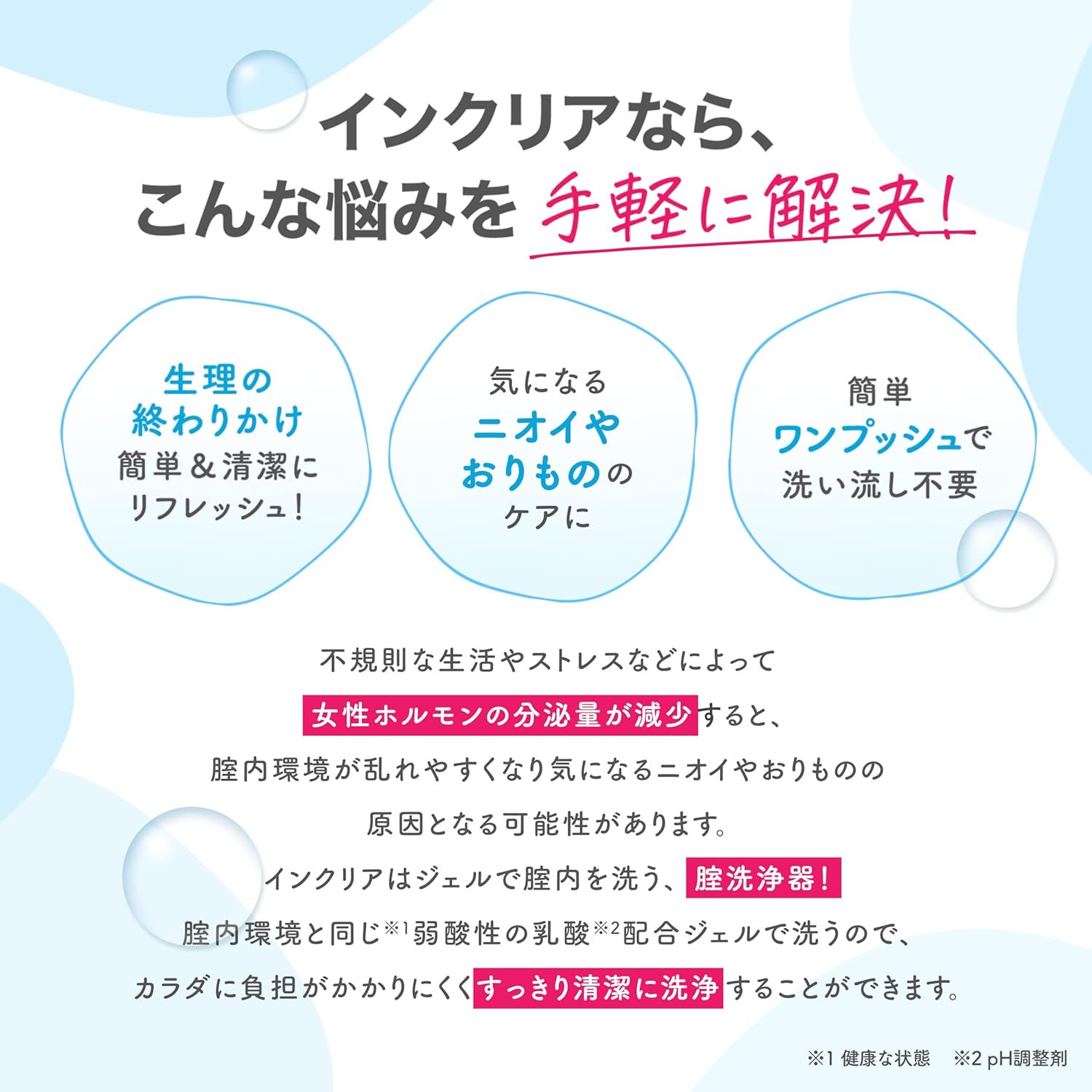 인클리어 질 세정기 10개입