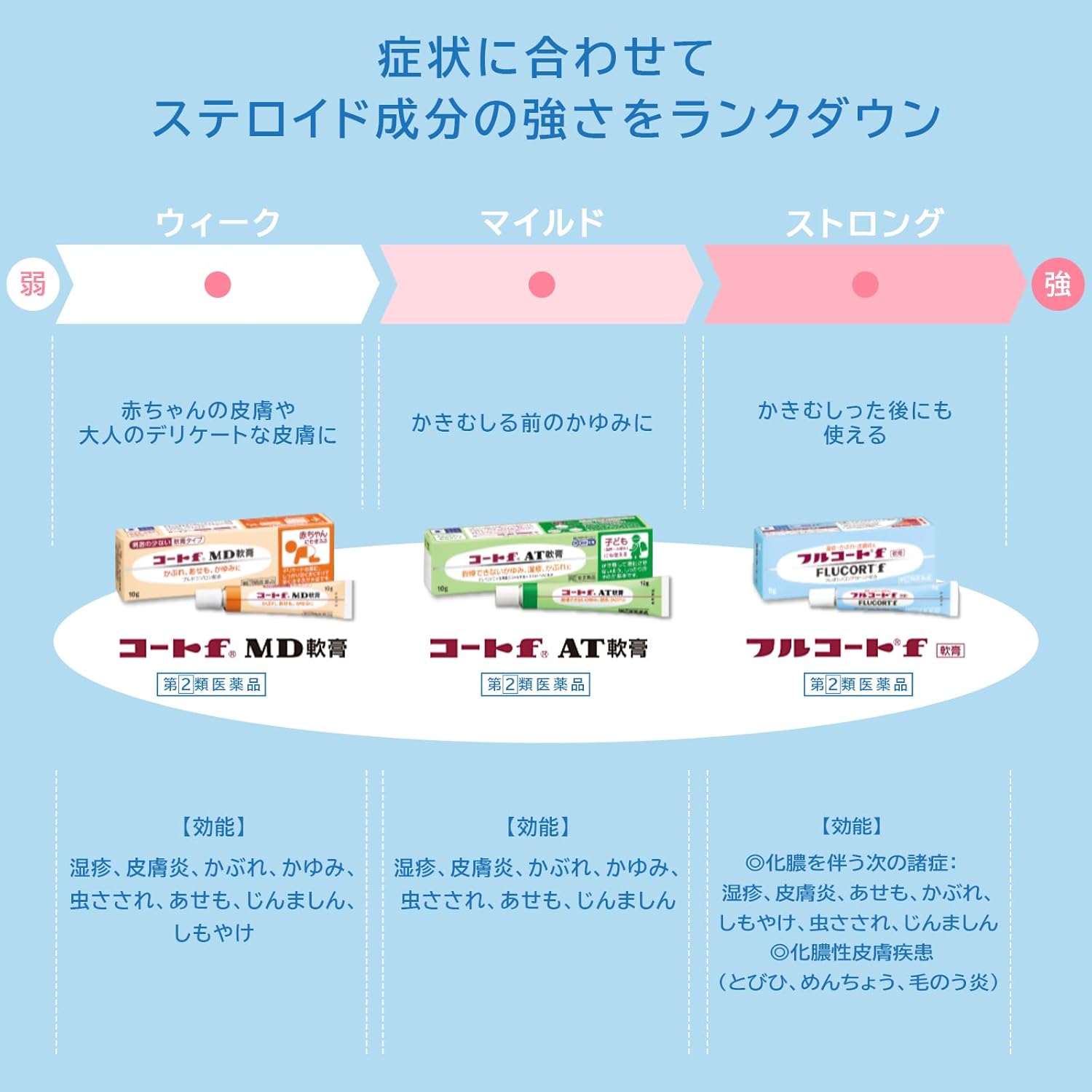 플루코트 f 10g