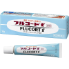 플루코트 f 10g