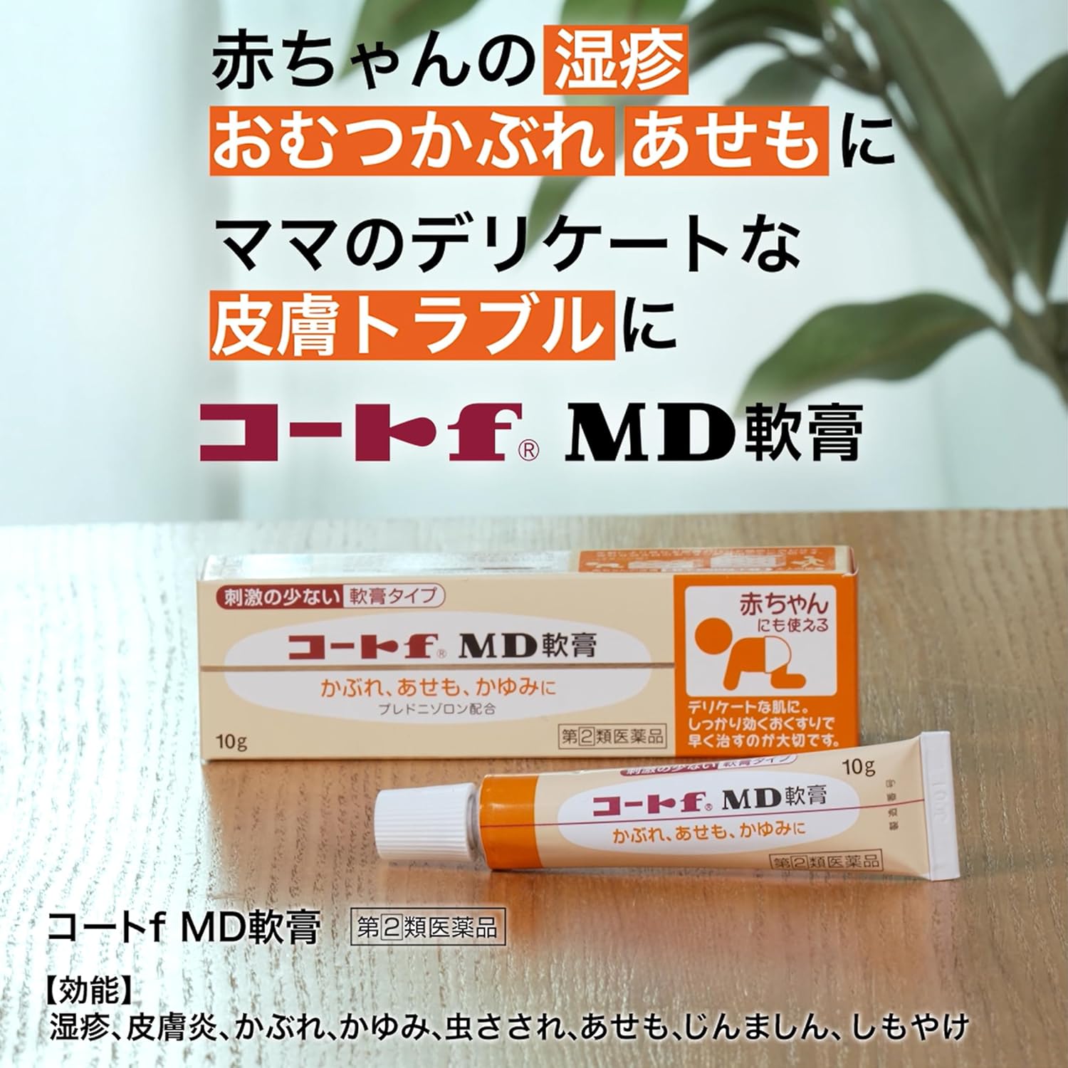 코트 f MD 연고 10g 【2개 세트】