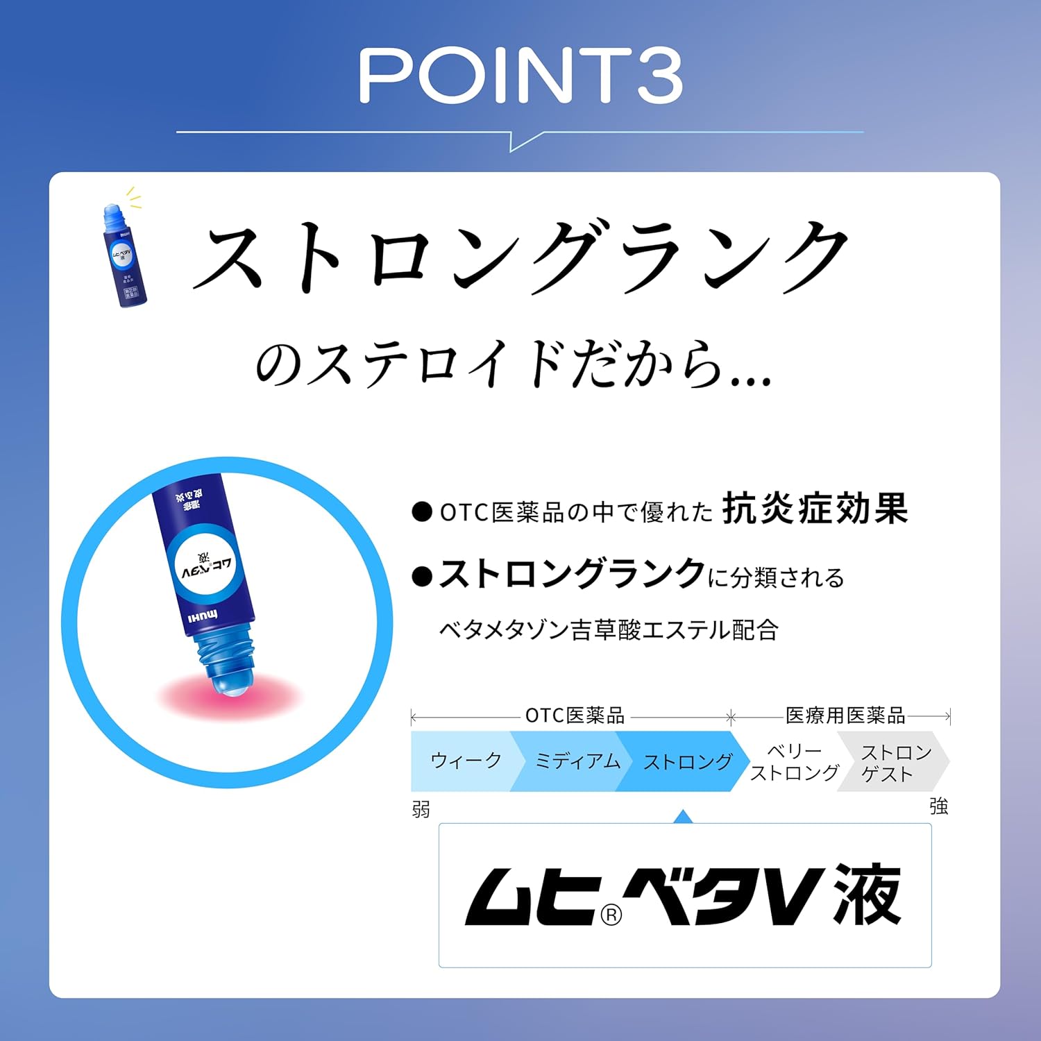 무히베타 V액 10g