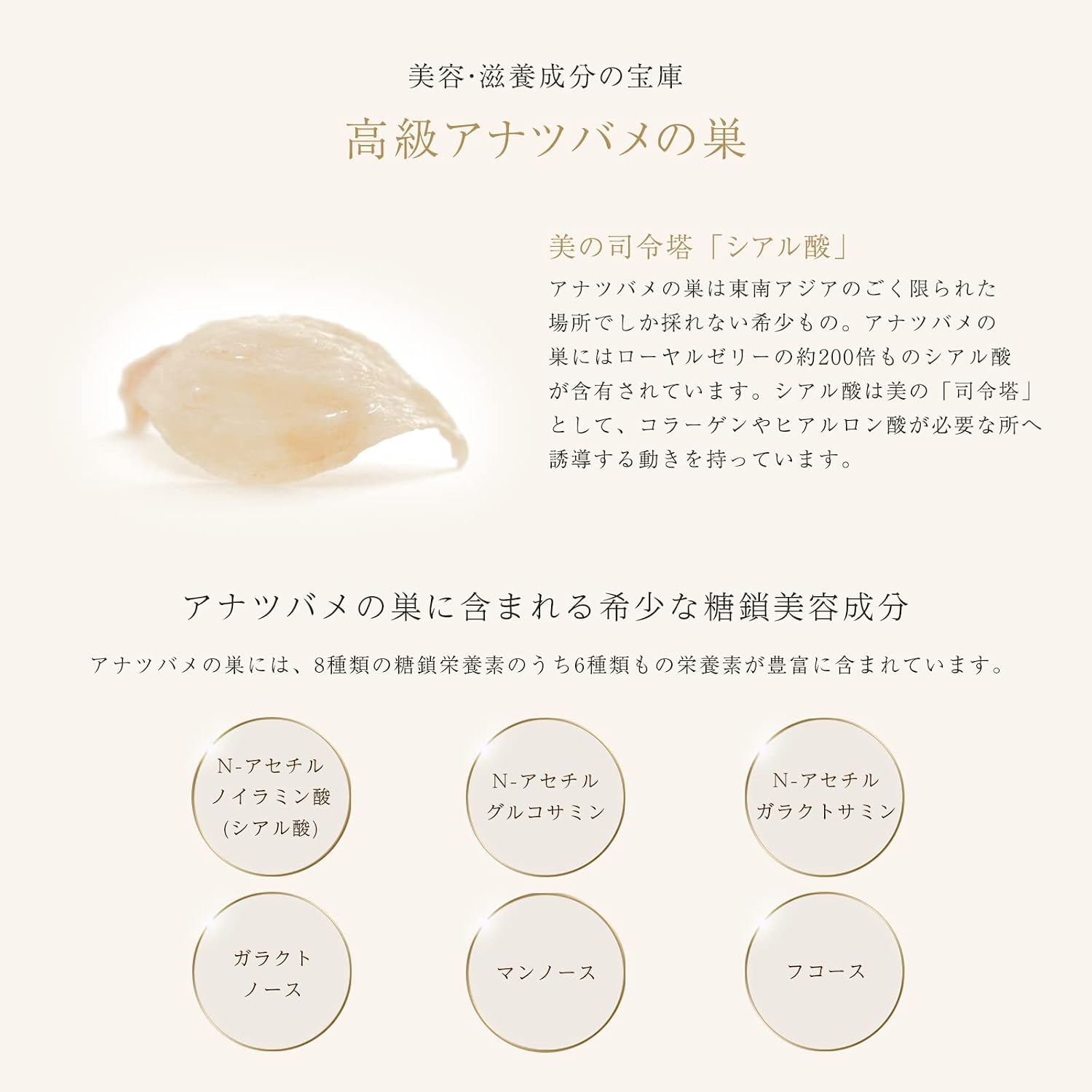 비스 제비집 스킨 로션 1병 120ml