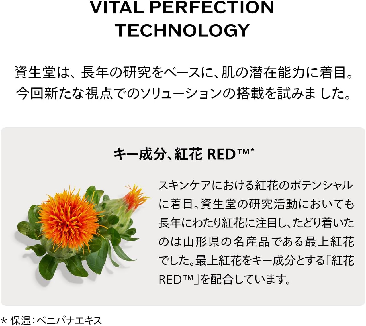 시세이도 SHISEIDO 바이탈 퍼펙션 L디파인 라디안스 나이트 세럼 40mL