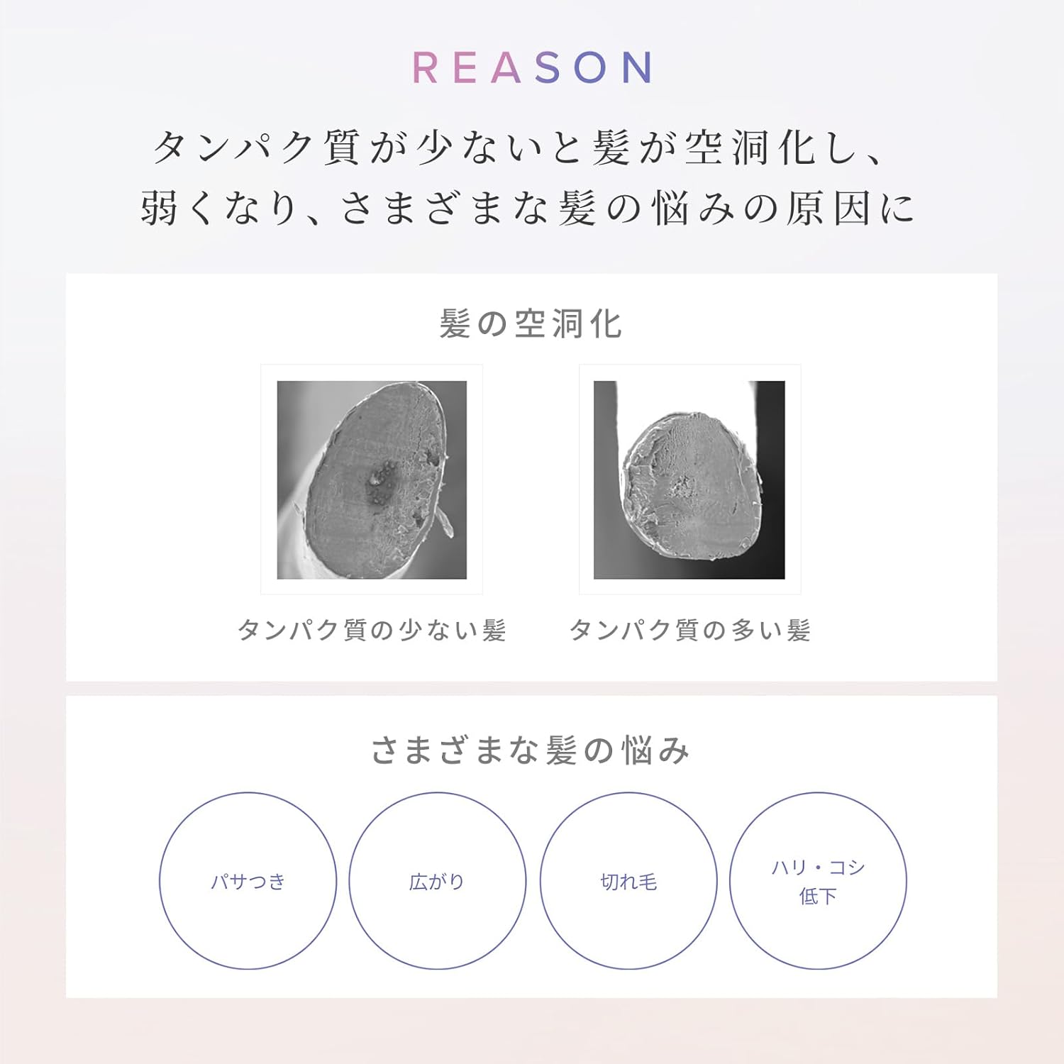 리파 밀크 프로테인 본체 500g 핑크 플로럴 베리 샴푸·트리트먼트 세트