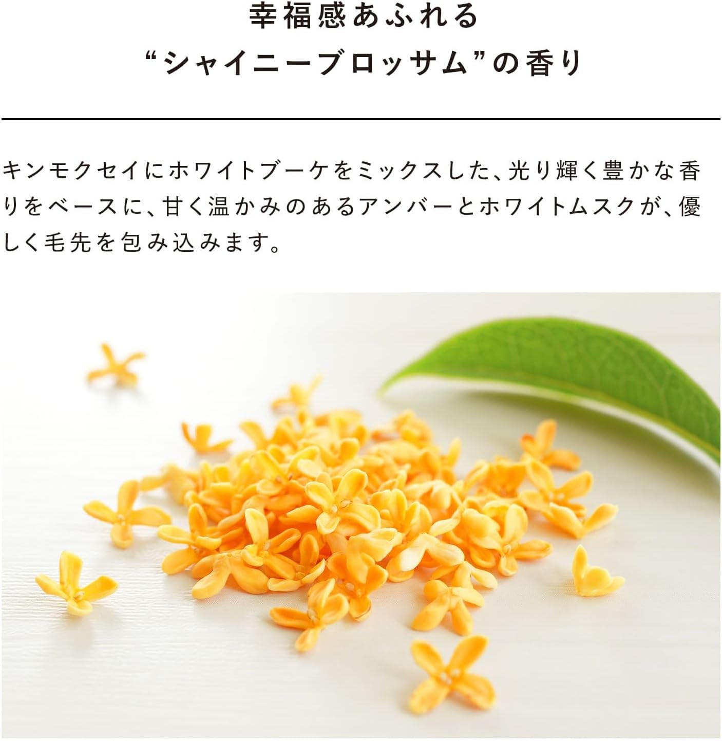 리파 하트 미스트 글로우