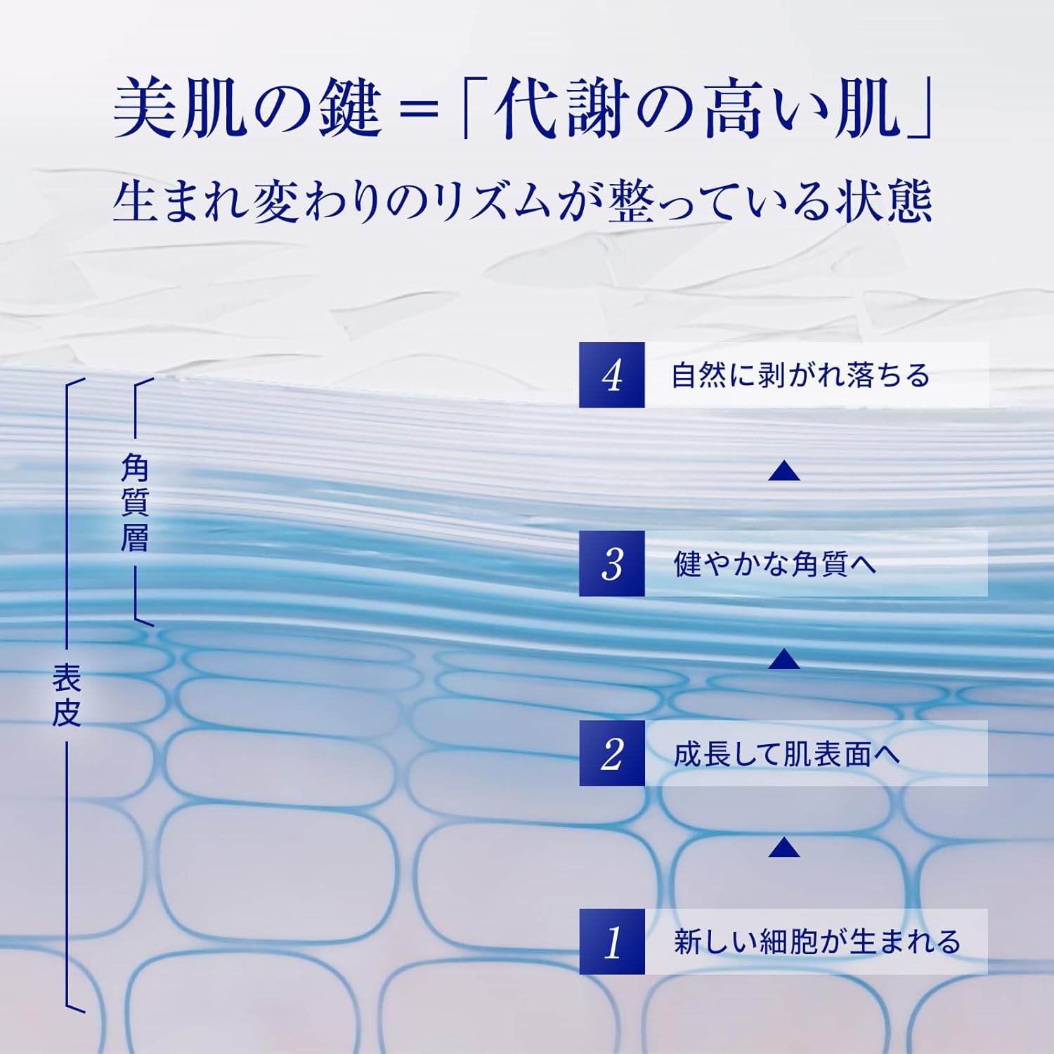 타카미 스킨필 30mL