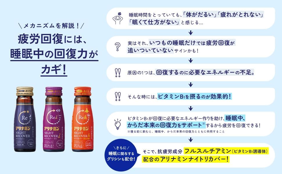 아리나민 나이트 리버버 i 50mL×10병