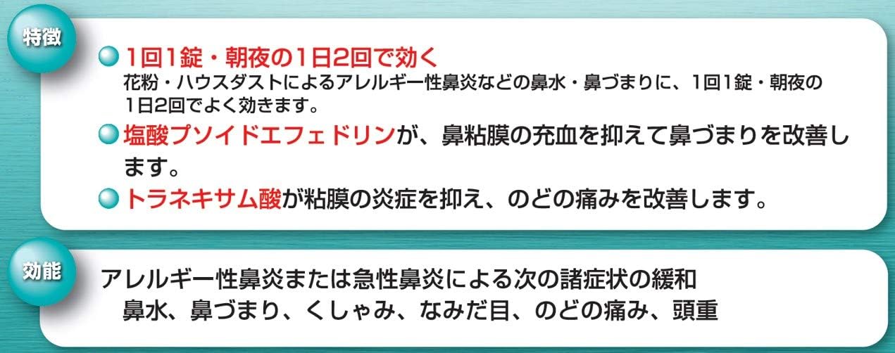 벤자 비염약 α  24정